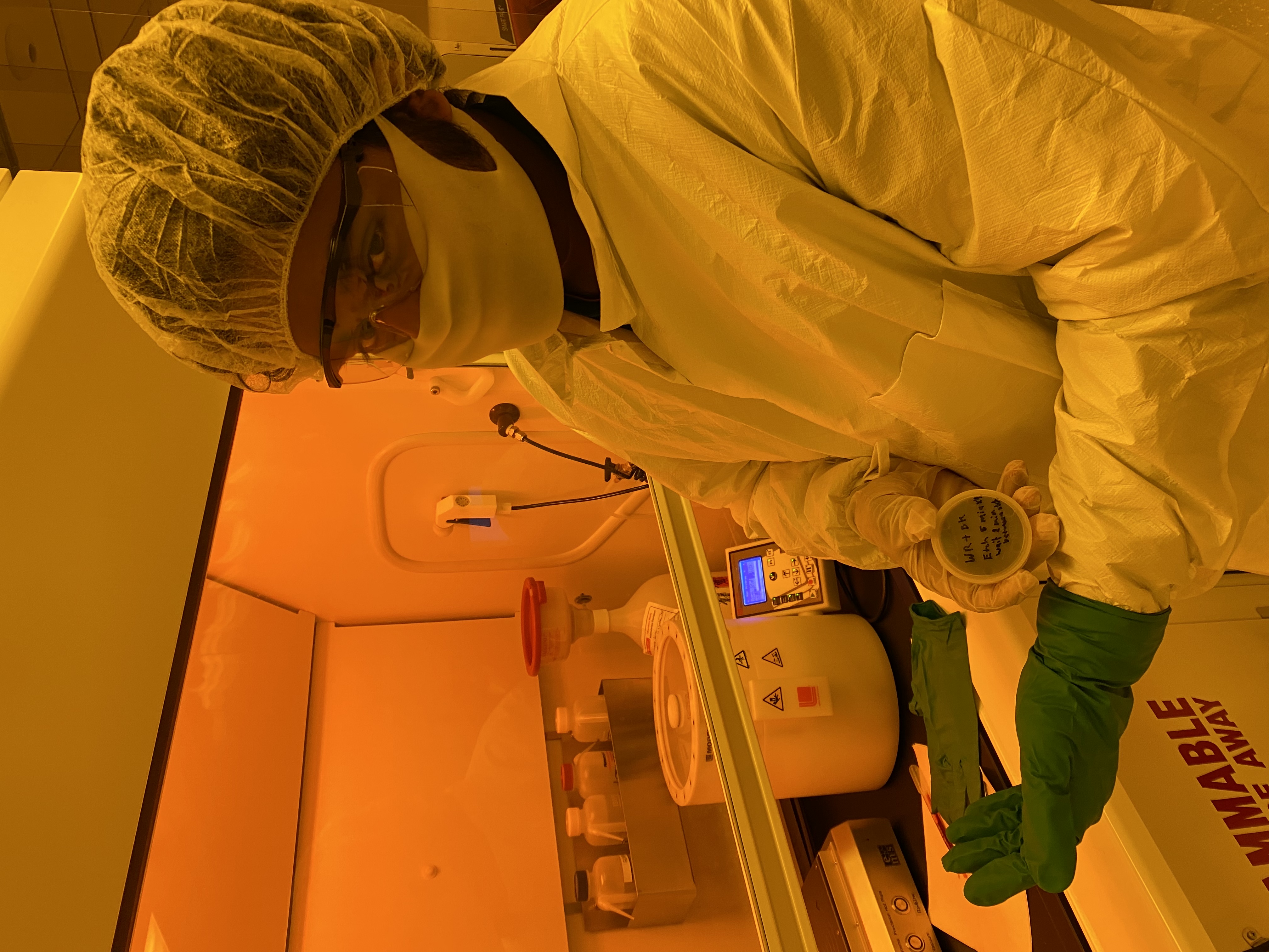 Semiconductor test structures fabricated and characterized using cleanroom processing and microscopy